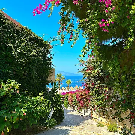 Art Luxury - Seaview Apartment, Bougainville Bay Appartement *